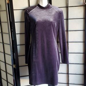 NWT! Gorgeous Velvet Dress
